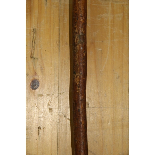 2046 - African: a small knobkerrie, 39cm long.