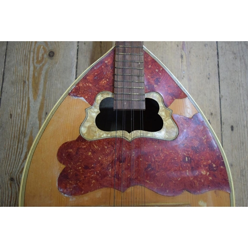 1870 - An eight string lute guitar.