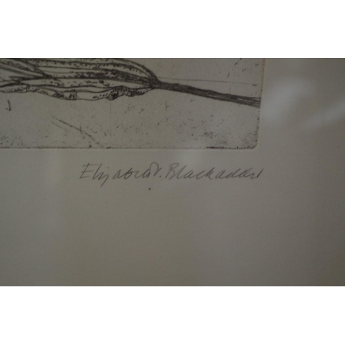 1810 - Elizabeth Blackadder, untitled, signed and numbered 28/30, etching, pl.25 x 15cm.