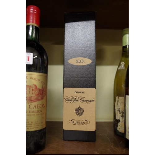 572 - A 70cl bottle of Quien XO Vieille Fine Champagne Cognac 40% Vol (1)