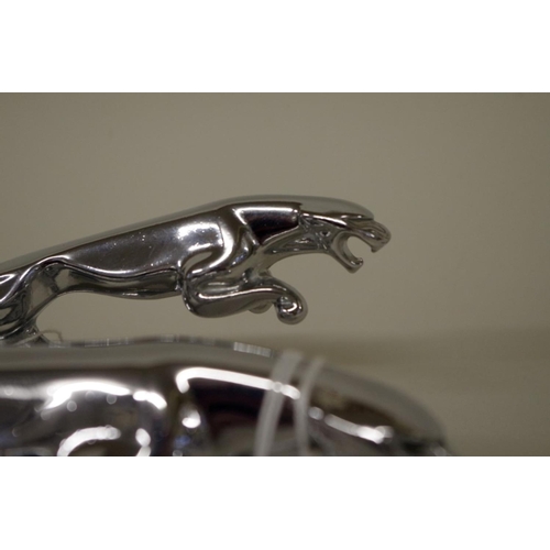 561 - Two Jaguar chrome plated car mascots, largest 19.5cm long.