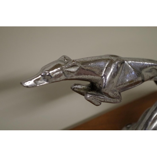 566 - A 1920s Delage Greyhound chrome car mascot, after a design by Casimir Brau, unsigned, nose to tail 2... 