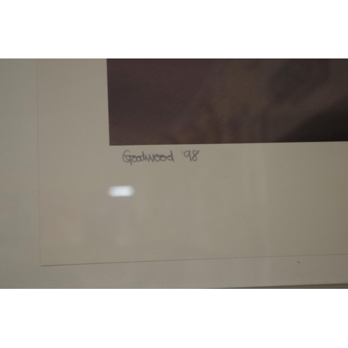 648 - Stephen Hayward, 'Goodwood 98', signed and titled, colour photograph, image 31.5 x 50.5cm.... 