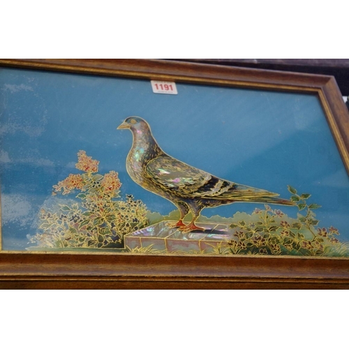 1191 - Two similar reverse glass paintings of pigeons, 26 x 41cm. 