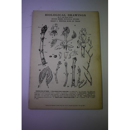 504 - KLEIN (E, MD): 'Atlas of Histology...', London, Smith Elder & Co, 1880: with 48 coloured pl... 