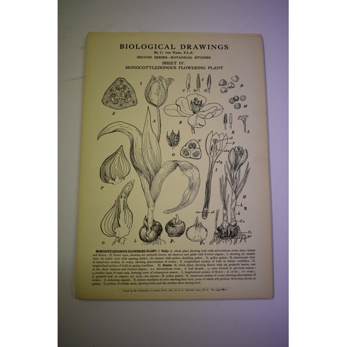 504 - KLEIN (E, MD): 'Atlas of Histology...', London, Smith Elder & Co, 1880: with 48 coloured pl... 