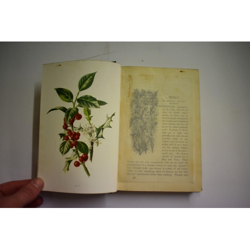 531 - HULME (F E): 'Familiar Wild Flowers', London, Cassell, circa 1900: 5 vols, publisher's ornate g... 