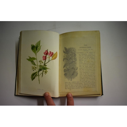 531 - HULME (F E): 'Familiar Wild Flowers', London, Cassell, circa 1900: 5 vols, publisher's ornate g... 