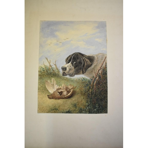 1749 - English School, Gun dog and prey, a pair, watercolour and bodycolour, 32 x 24.5cm, unframed.&nb... 