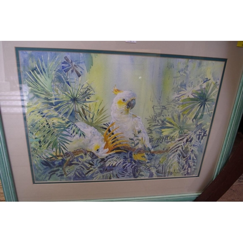 1491 - Brenda Longman, 'Spix Macaws', signed, watercolour, 47.5 x 33cm; together with five other simil... 