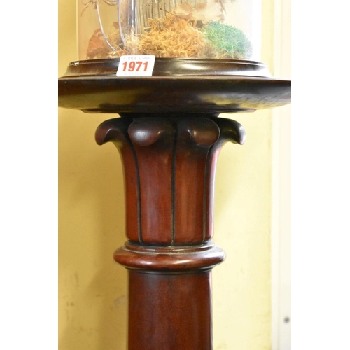 1970 - A pair of 19th century mahogany pedestals, each with dish top, 118cm high.