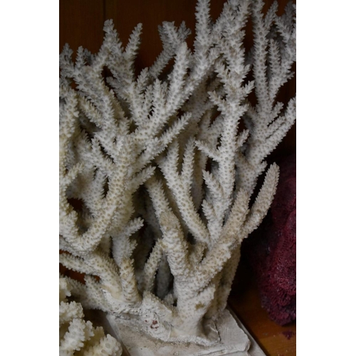 1982 - A collection of coral specimens and similar. (One shelf) 