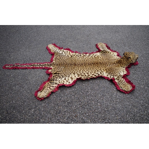 2024 - Taxidermy: a Leopard skin rug, by Van Ingen & Van Ingen, with full head, with remains of label, ... 