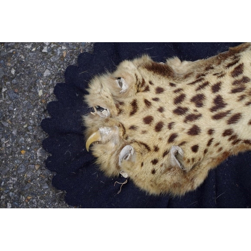 2026 - Taxidermy: a Leopard skin rug, with full head, nose to tail 239cm.