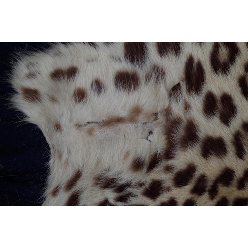 2026 - Taxidermy: a Leopard skin rug, with full head, nose to tail 239cm.