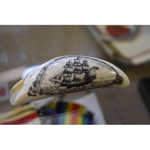 1842 - A small scrimshaw tooth, engraved with a galleon, signed 'Jones', 8.7cm long.