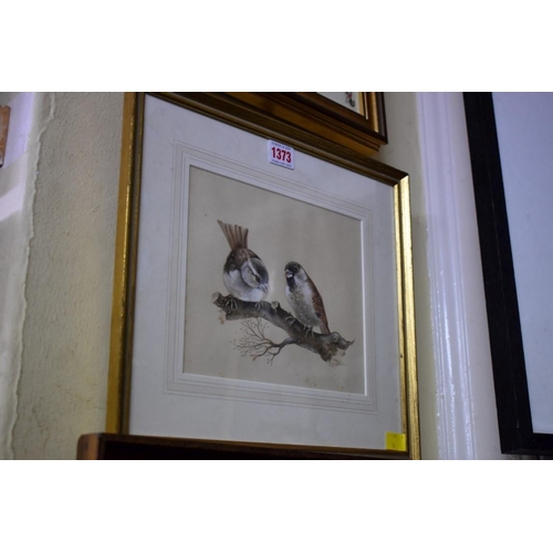 1198 - Lesley Anne Ivory, sparrows, signed, watercolour and bodycolour, 17 x 21cm.