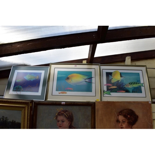 1188 - Jo Ann Hook, three pencil signed limited edition colour prints of tropical fish, largest two 31.5 x ... 