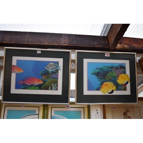 1189 - Jo Ann Hook, a pair of pencil signed limited edition colour prints of tropical fish, largest 23 x 31... 