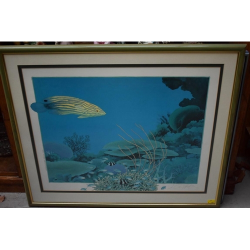 1191 - Jo Ann Hook, three pencil signed limited edition colour prints of tropical fish, largest 47 x 63cm. ... 