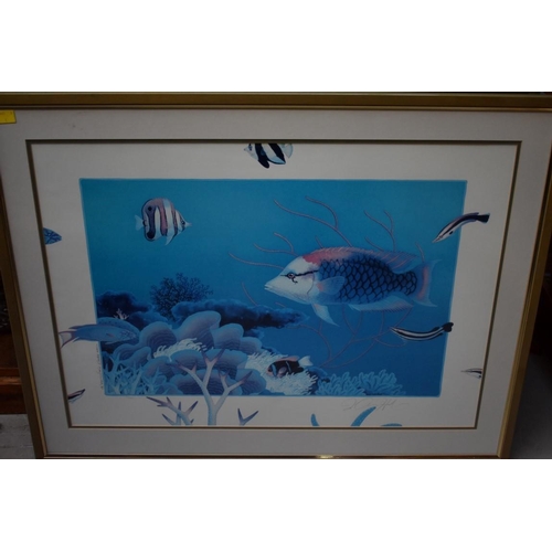 1191 - Jo Ann Hook, three pencil signed limited edition colour prints of tropical fish, largest 47 x 63cm. ... 