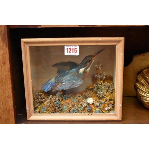 1215 - Taxidermy: a Kingfisher, in a glass fronted case, 22.5cm wide. 