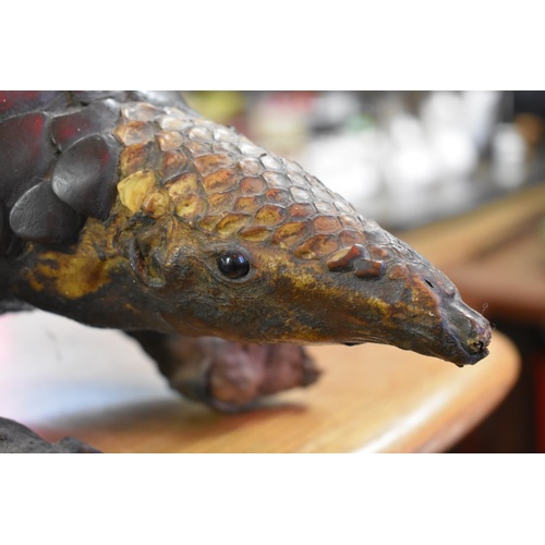 1875 - Taxidermy: a Pangolin, 125cm long.