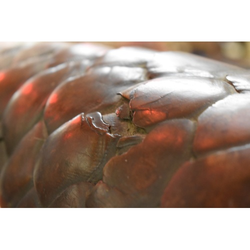 1875 - Taxidermy: a Pangolin, 125cm long.