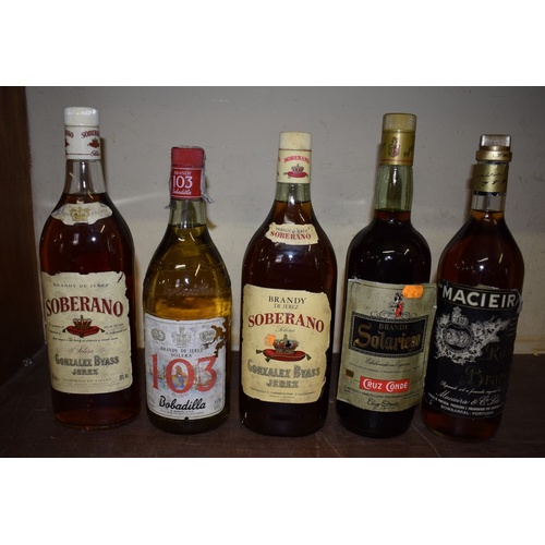 96 - A mixed group of spirits, to include: brandy; rum; vodka and gin. (10)