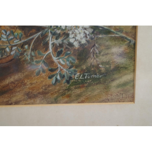1369 - E L Turner, 'Ferns & Balsam', signed, labelled verso, watercolour, 46 x 35cm.&nbsp;... 