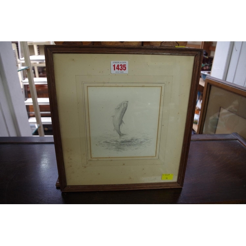 Lot 1435      