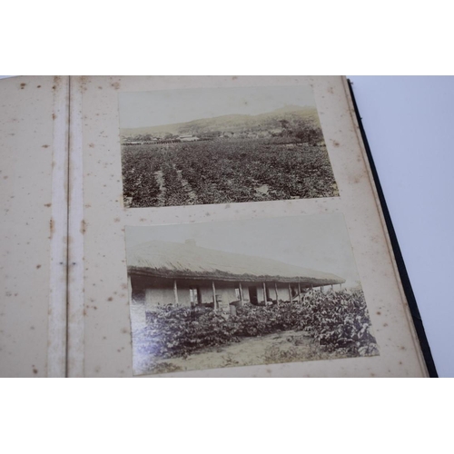 159 - PHOTOGRAPH ALBUM: AFRICAN COFFEE PLANTATIONS: unusual album of 36 albumen print photographs cir... 