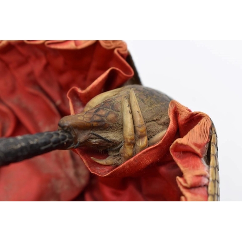 1253 - Taxidermy: a novelty armadillo basket, with red silk lining, 18.5cm wide.