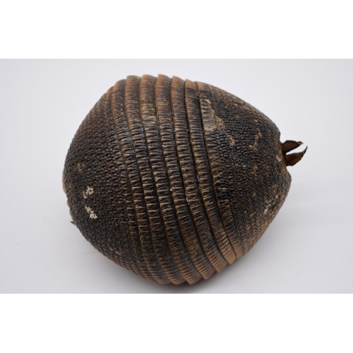 1253 - Taxidermy: a novelty armadillo basket, with red silk lining, 18.5cm wide.