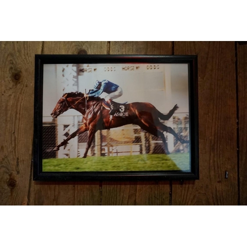 1275 - Horse Racing Interest: a large collection of professional photographs, many annotated on mounts. (30... 