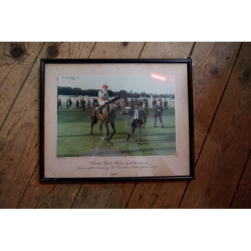 1275 - Horse Racing Interest: a large collection of professional photographs, many annotated on mounts. (30... 