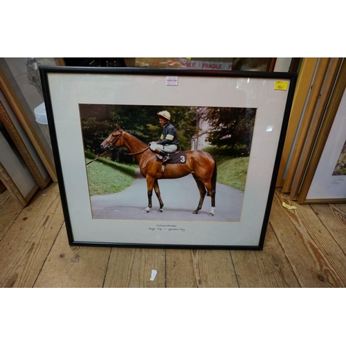 1276 - Horse Racing Interest: a large collection of professional photographs, two signed, many annotated on... 