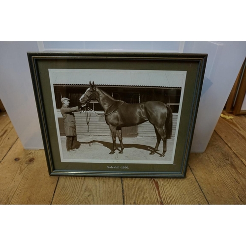 1276 - Horse Racing Interest: a large collection of professional photographs, two signed, many annotated on... 