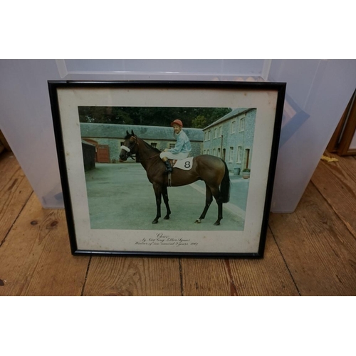 1276 - Horse Racing Interest: a large collection of professional photographs, two signed, many annotated on... 