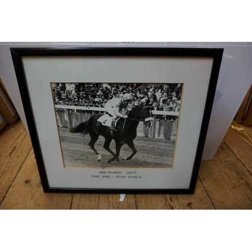 1276 - Horse Racing Interest: a large collection of professional photographs, two signed, many annotated on... 