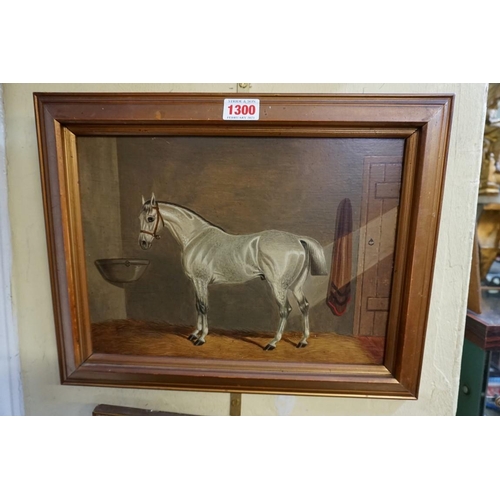 1300 - Edwin Loder, a grey racehorse in a stable, unsigned, oil on board, 23 x 30cm.