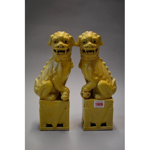 1606 - A pair of Chinese yellow glazed dogs of fo, 30cm high.