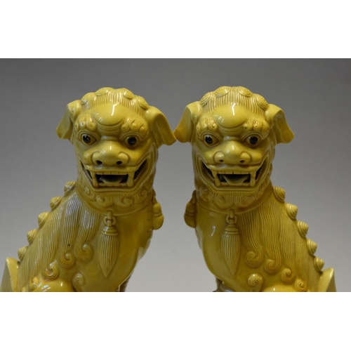 1606 - A pair of Chinese yellow glazed dogs of fo, 30cm high.