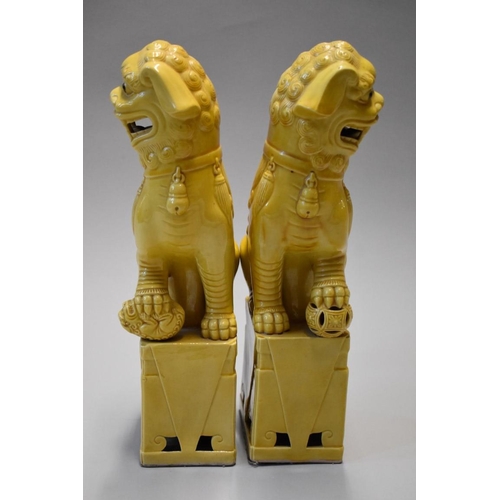 1606 - A pair of Chinese yellow glazed dogs of fo, 30cm high.