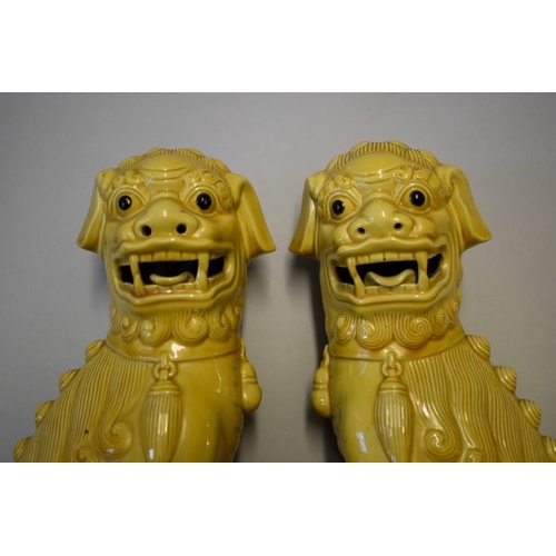 1606 - A pair of Chinese yellow glazed dogs of fo, 30cm high.