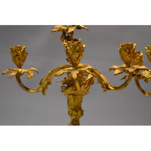 1615 - A pair of rococo style gilt metal candelabra, 47cm high.