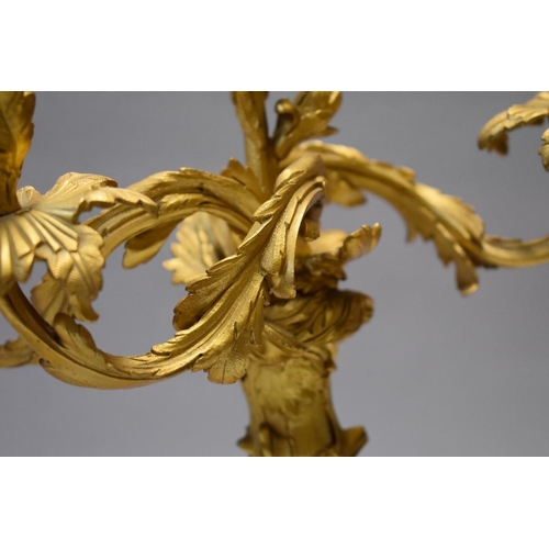 1615 - A pair of rococo style gilt metal candelabra, 47cm high.