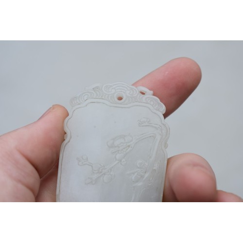 1251 - A Chinese carved pale celadon jade pendant, probably Qing, decorated in shallow relief with flowerin... 