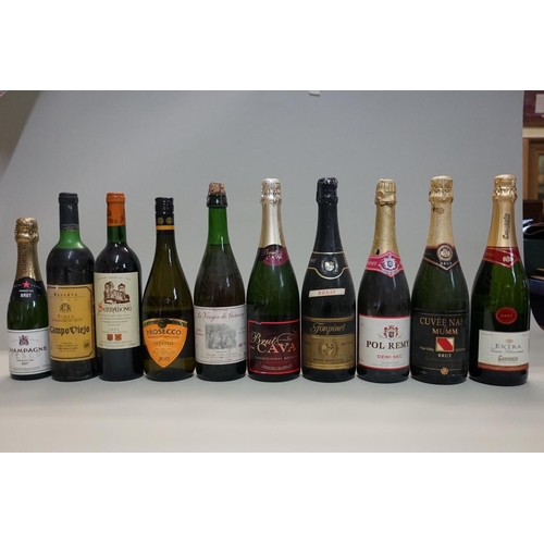 143 - A mixed group of wine, to include: Campo Viejo Riojo, 1980; and various sparkling wines. (10)... 