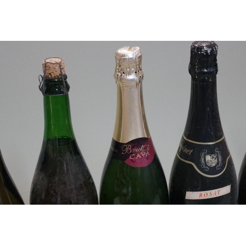 143 - A mixed group of wine, to include: Campo Viejo Riojo, 1980; and various sparkling wines. (10)... 